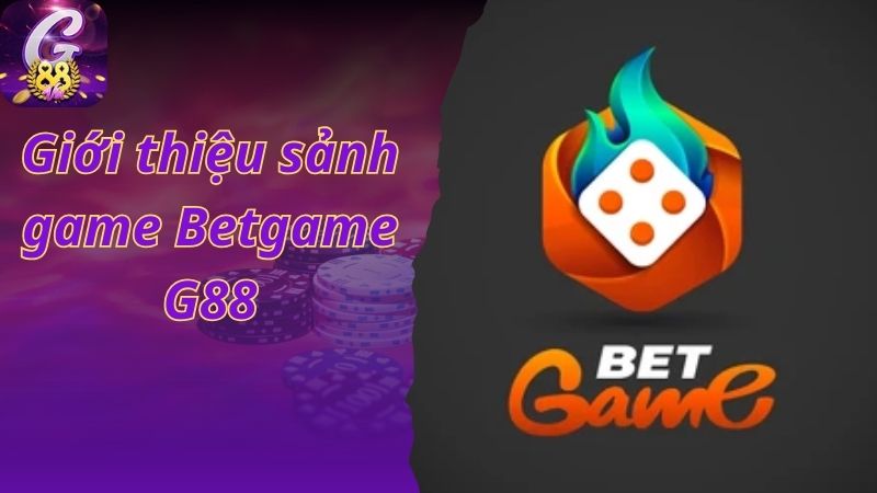 Giới thiệu sảnh game Betgame G88