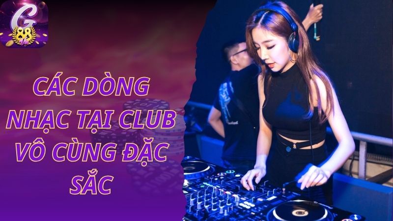 Các dòng nhạc tại club vô cùng đặc sắc và ấn tượng